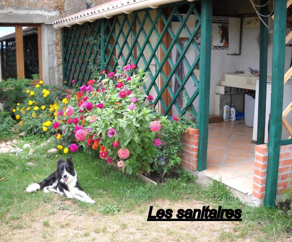 Ferme Equestre Les Chevaliers Hotel Penol Exterior foto
