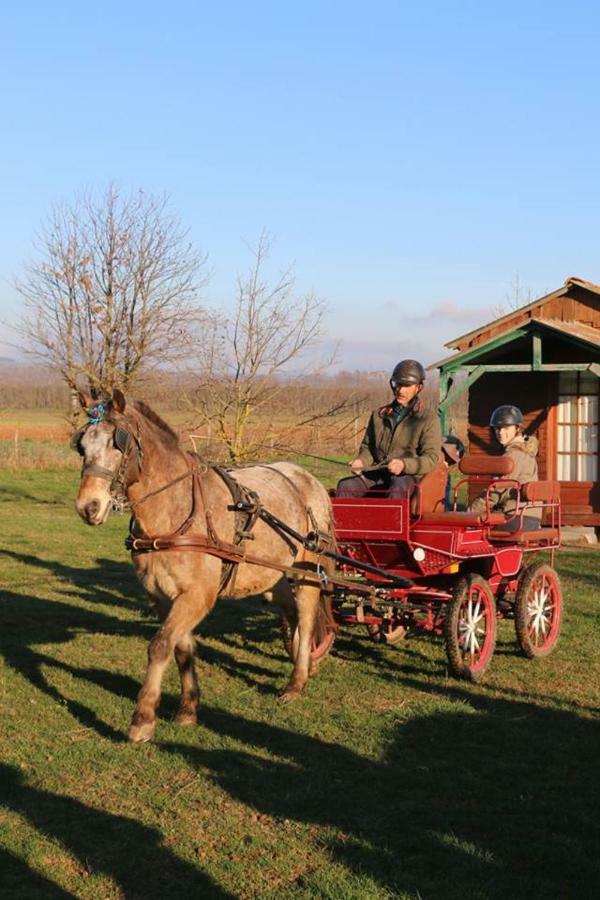 Ferme Equestre Les Chevaliers Hotel Penol Exterior foto